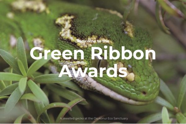 Green lizard with typography superimposed, part of a digital campaign by Wonderlab