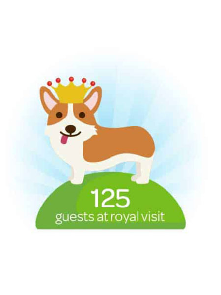 Illustration of a dog to demonstrate simple information design, by brand agency Wonderlab