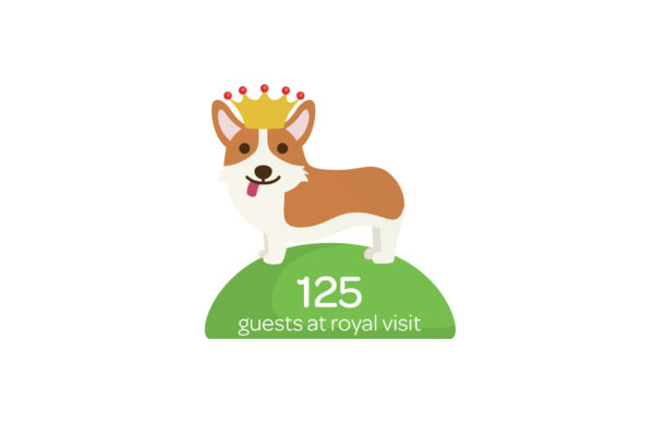 Illustration of corgi dog used for information design by Wonderlab