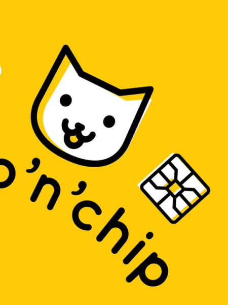 Logo with a cat designed by branding company Wonderlab