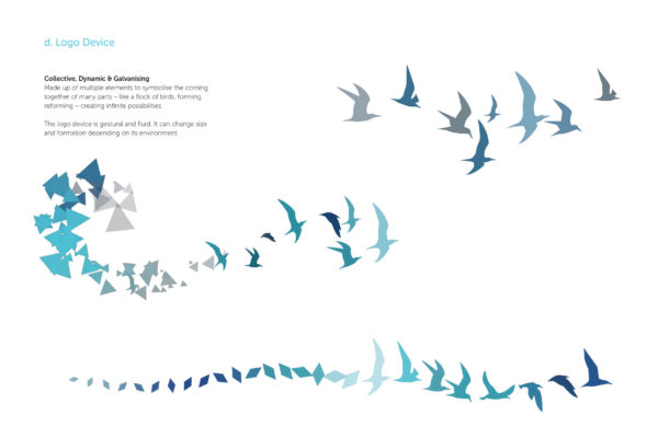 Shapes turning into birds illustration by Wellington brand designers Wonderlab.