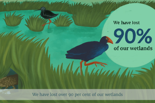 Illustration of pukeko by a river, part of a public engagement campaign by Wonderlab
