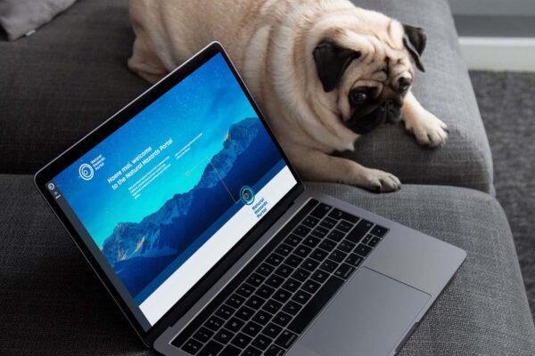 A pug is laying on a couch next to a laptop.