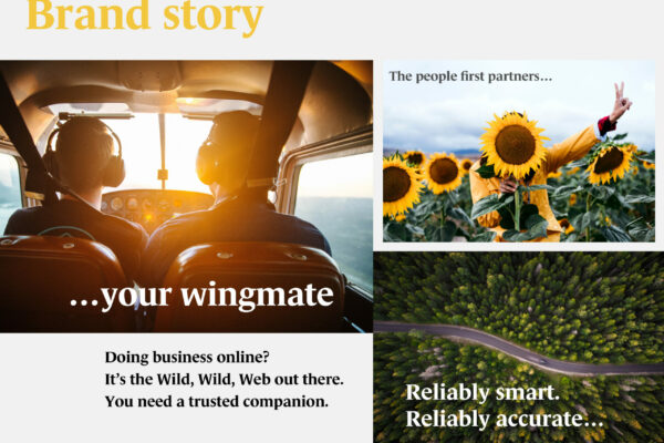 Brand story - your wingmate.