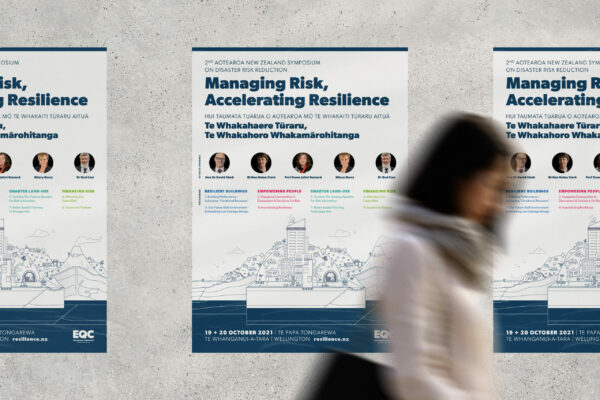 Two posters with the words managing risk and achieving excellence.